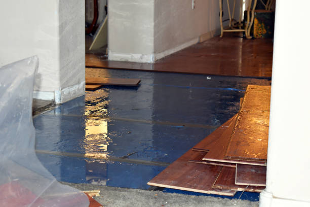 Professional Basement Flood Cleanup technician working in Bayville, NY